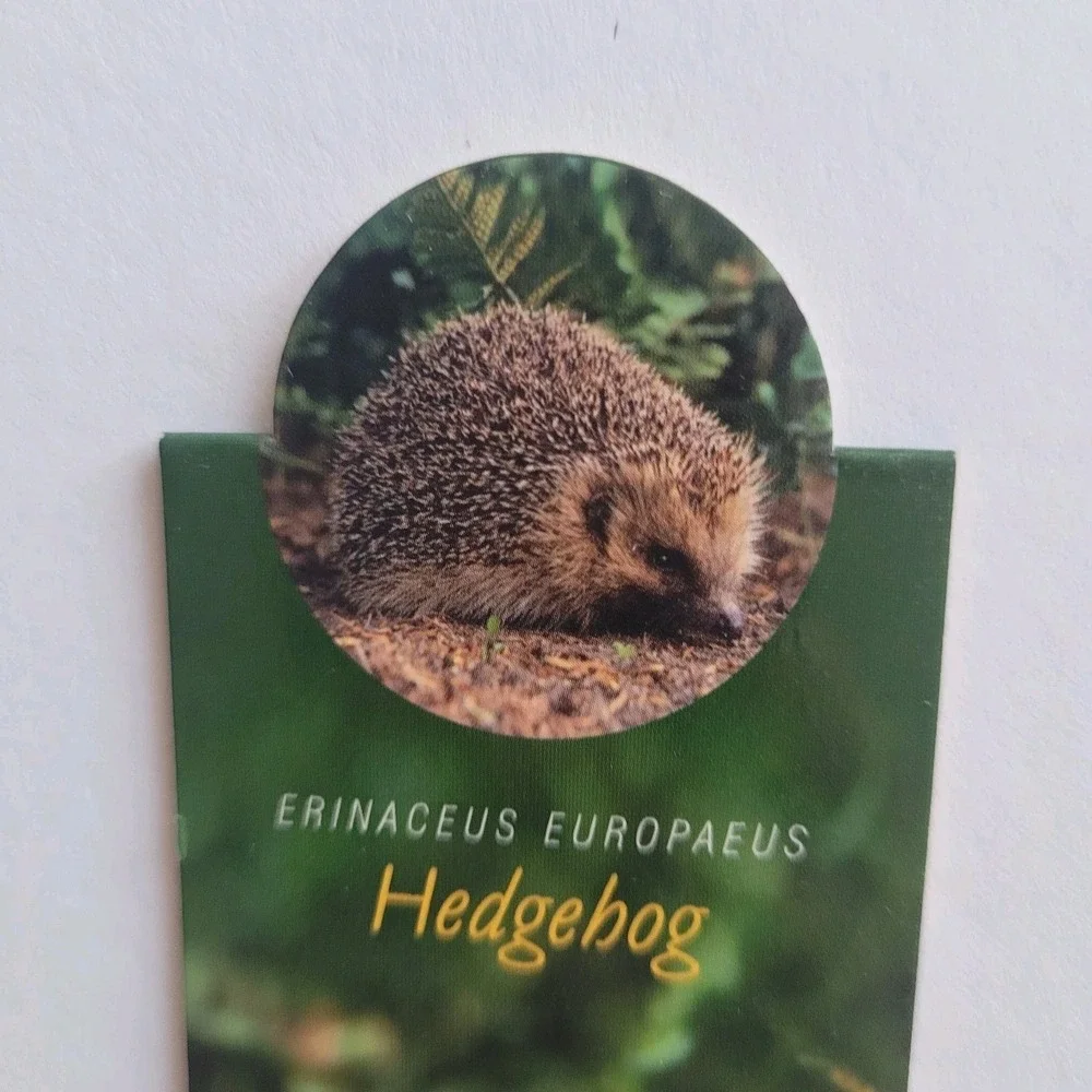 Cardmarks Hedgehog Nature Animal Info Magnetic Magnet UK Company If 2408 Y2k 00s